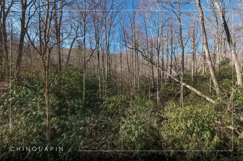 Lot 17 New Settler's Way Glenville NC 28736