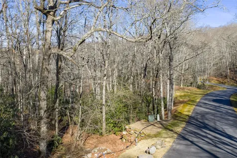 Lot 17 New Settler's Way Glenville NC 28736