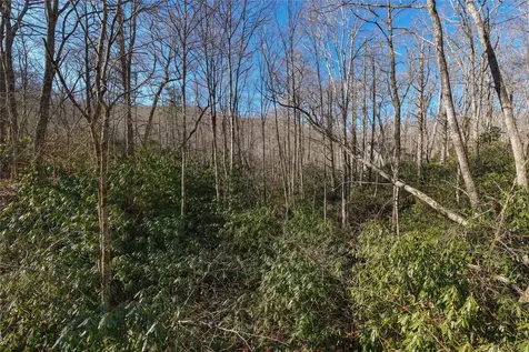 Lot 17 New Settler's Way Glenville NC 28736