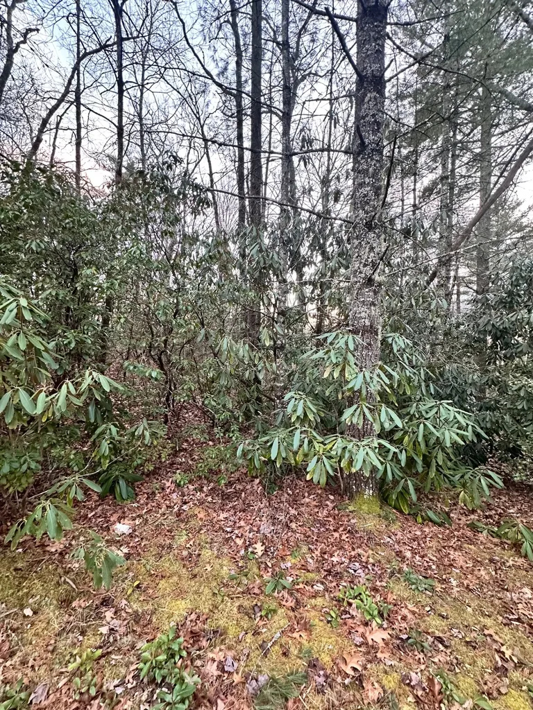 0 Hedden Highlands NC 28741