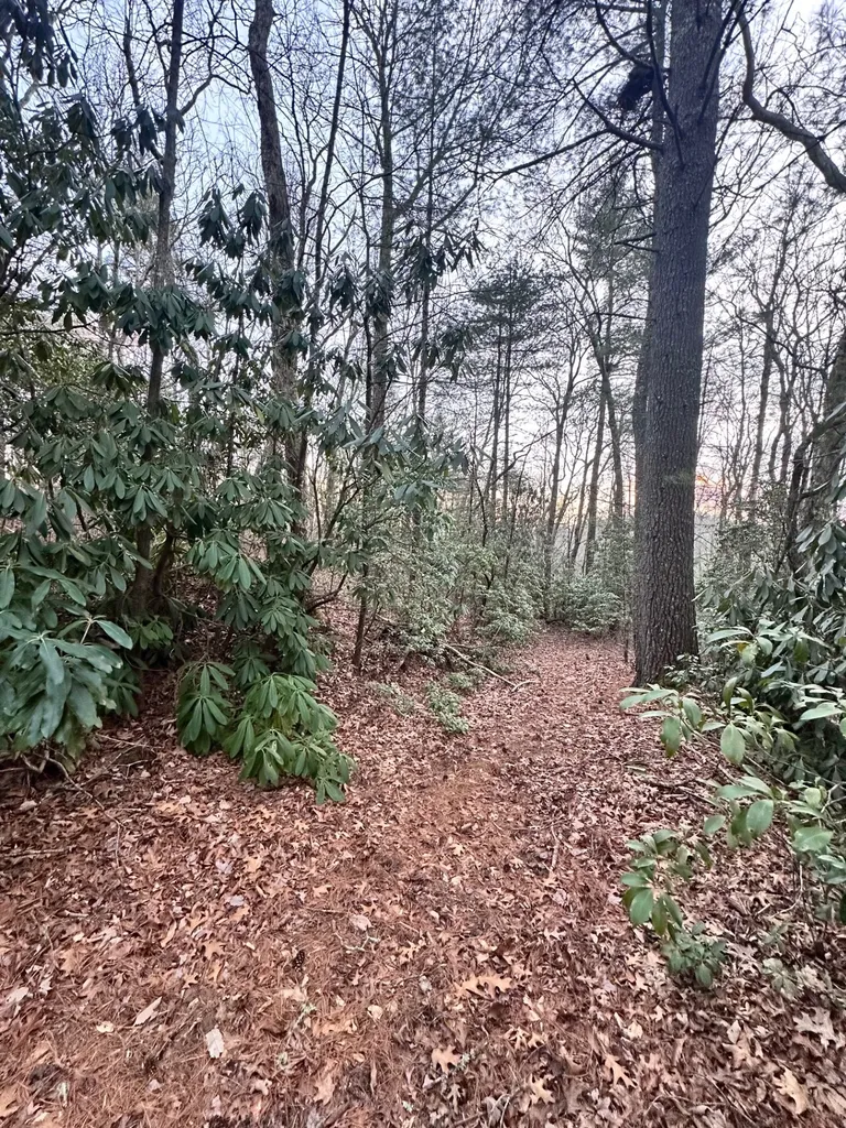 0 Hedden Highlands NC 28741