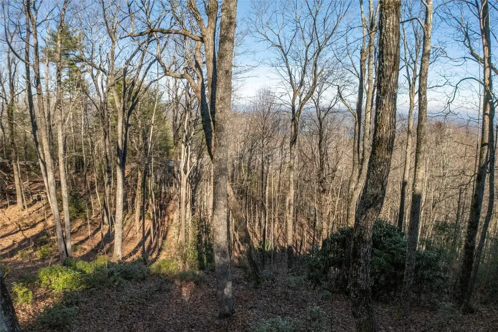 Ls 25 Lakeside Trail Lake Toxaway NC 28747