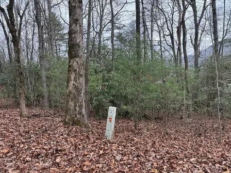 Lot 19 Ideal Acres Otto NC 28763