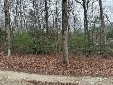 Lot 19 Ideal Acres Otto NC 28763