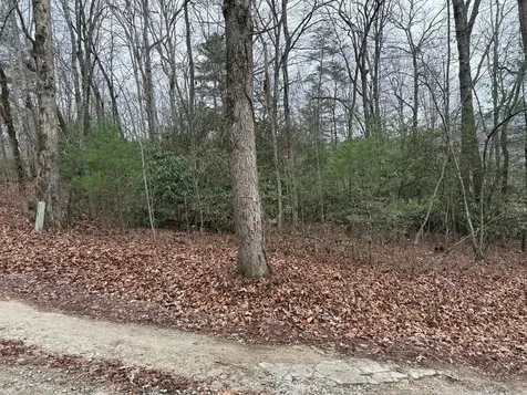 Lot 19 Ideal Acres Otto NC 28763