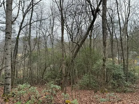 Lot 19 Ideal Acres Otto NC 28763