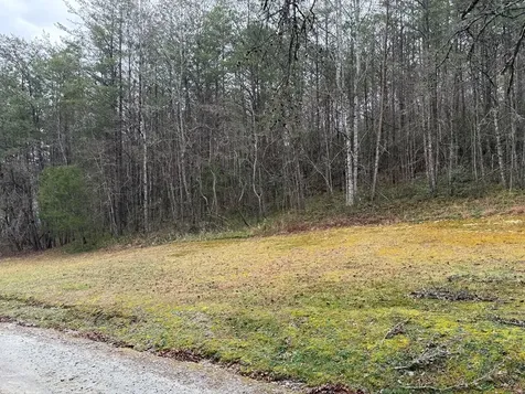 Lot 9 Ideal Acres Otto NC 28763