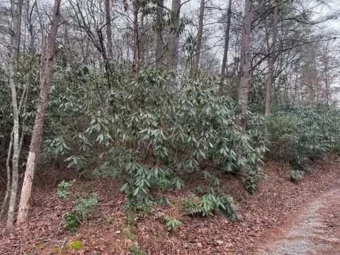 7 & 8 Ideal Acres Otto NC 28763