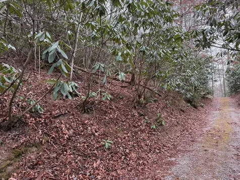 7 & 8 Ideal Acres Otto NC 28763