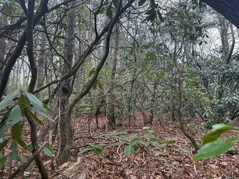 7 & 8 Ideal Acres Otto NC 28763