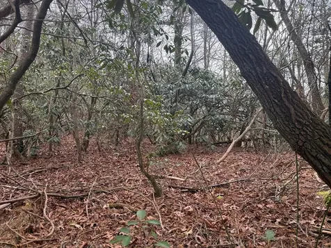 7 & 8 Ideal Acres Otto NC 28763