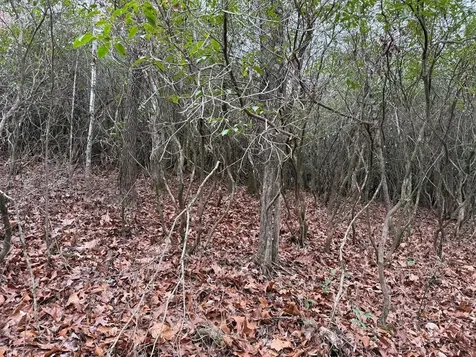 Lot 23 Ideal Acres Otto NC 28763