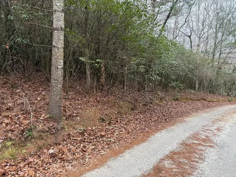 Lot 23 Ideal Acres Otto NC 28763