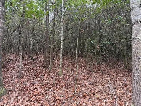 Lot 23 Ideal Acres Otto NC 28763
