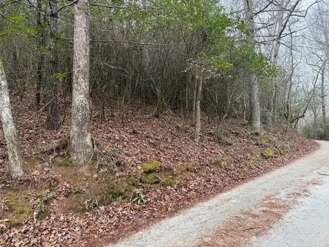 Lot 20 Ideal Acres Otto NC 28763
