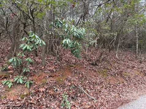 Lot 20 Ideal Acres Otto NC 28763