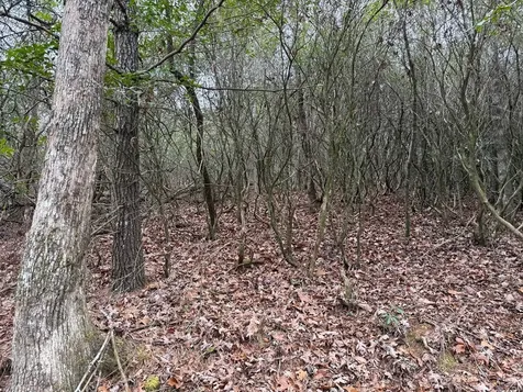 Lot 20 Ideal Acres Otto NC 28763