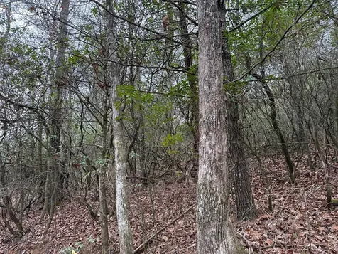 Lot 20 Ideal Acres Otto NC 28763