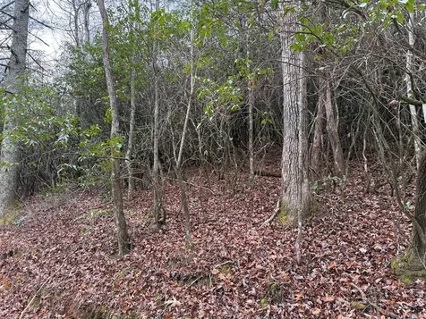 Lot 20 Ideal Acres Otto NC 28763