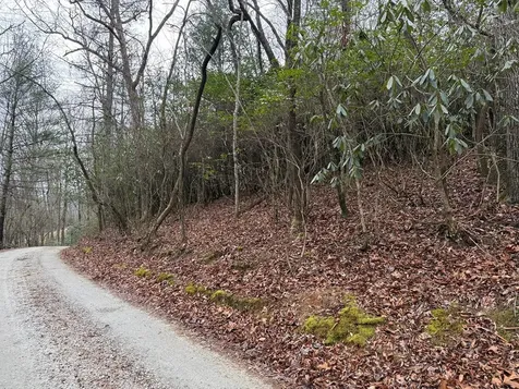 Lot 20 Ideal Acres Otto NC 28763