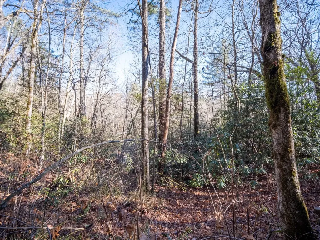 Tbd Sapphire Road Sapphire NC 28774