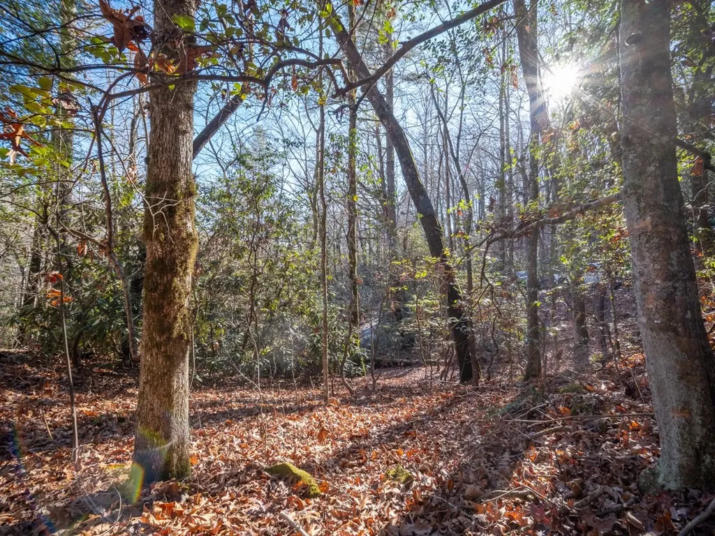 Tbd Sapphire Road Sapphire NC 28774