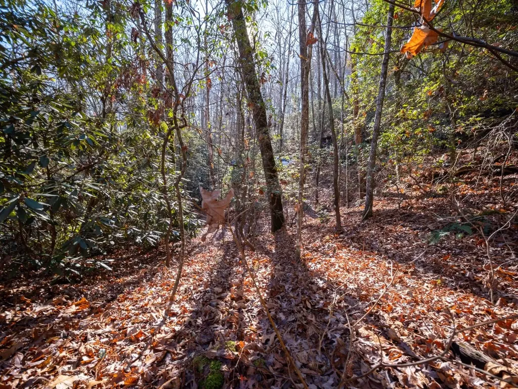 Tbd Sapphire Road Sapphire NC 28774