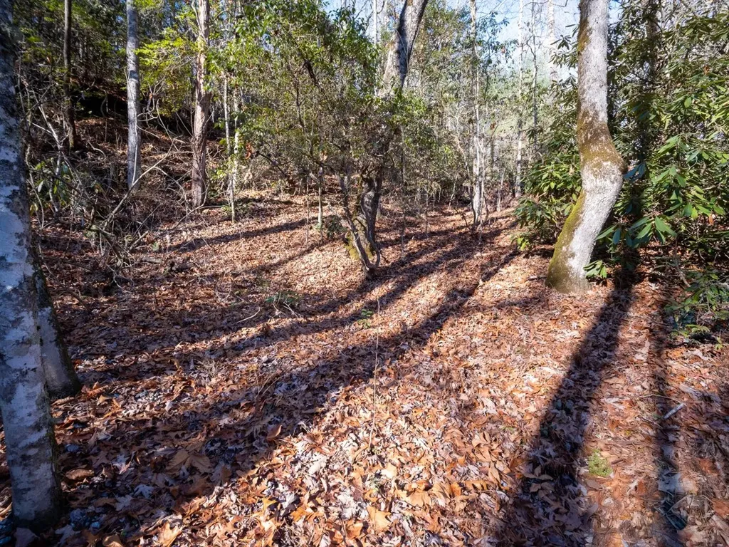 Tbd Sapphire Road Sapphire NC 28774