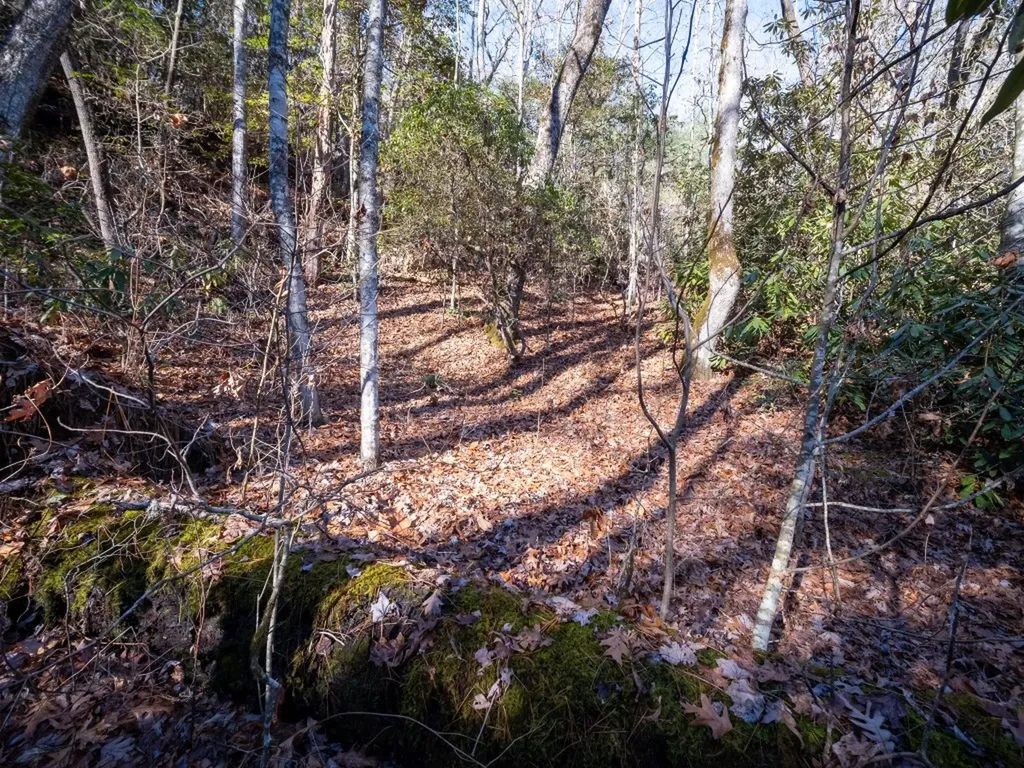 Tbd Sapphire Road Sapphire NC 28774