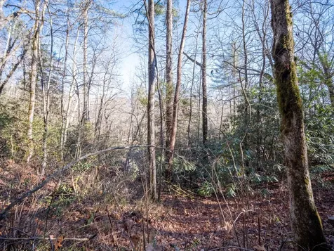 Tbd Sapphire Road Sapphire NC 28774