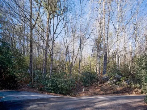 Tbd Sapphire Road Sapphire NC 28774