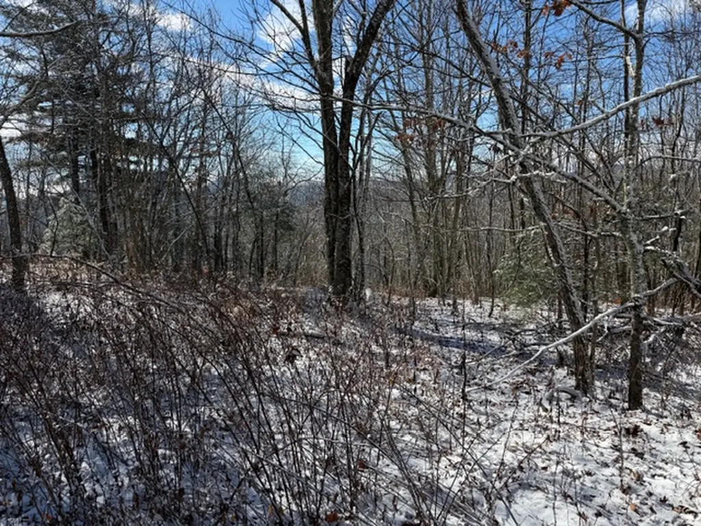 25 Fowler Road Glenville NC 28736