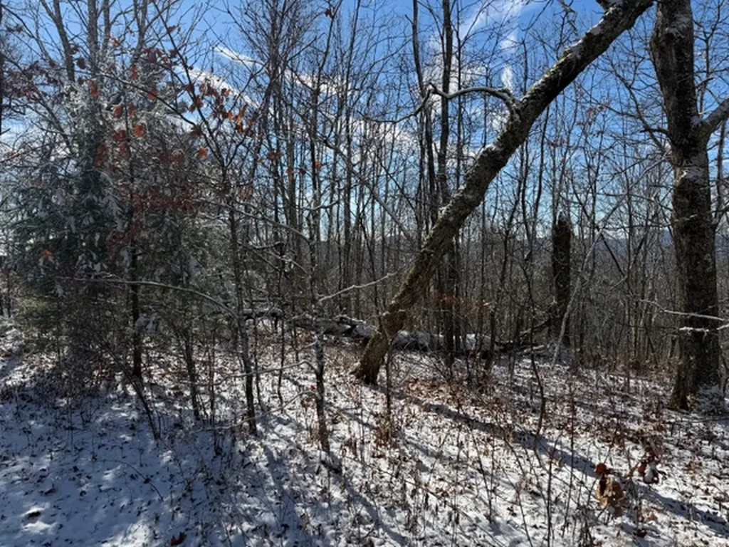 25 Fowler Road Glenville NC 28736