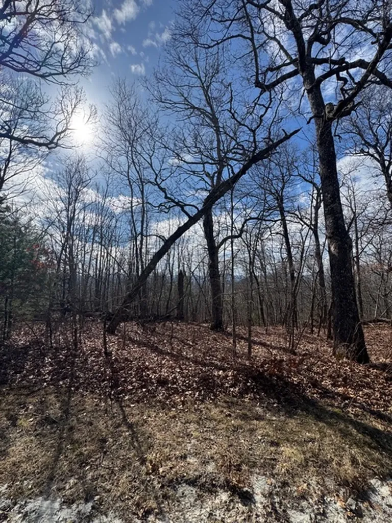 25 Fowler Road Glenville NC 28736