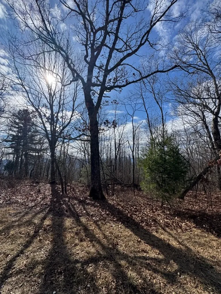 25 Fowler Road Glenville NC 28736