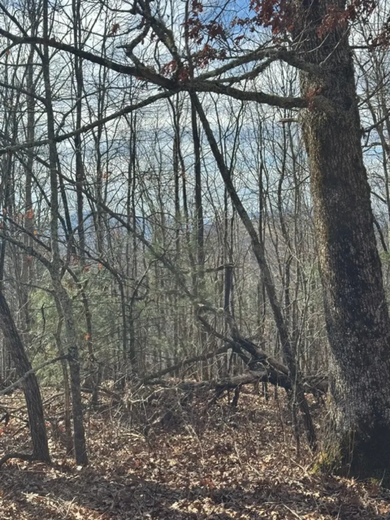 25 Fowler Road Glenville NC 28736