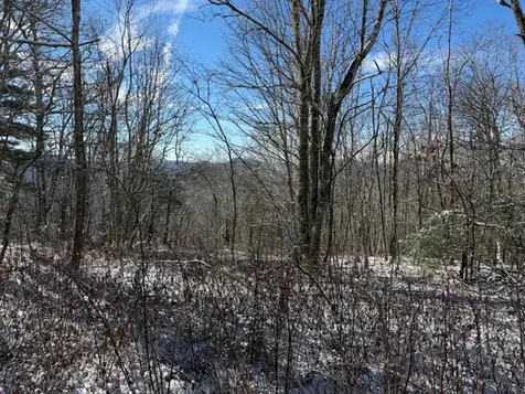 25 Fowler Road Glenville NC 28736