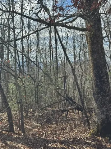 25 Fowler Road Glenville NC 28736