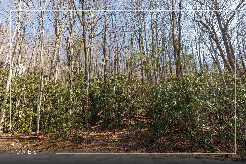 Lot 72 Black Oak Drive Sapphire NC 28774