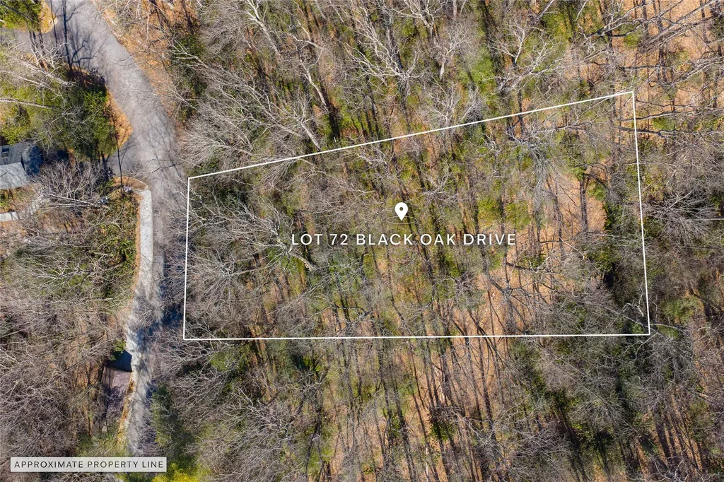 Lot 72 Black Oak Drive Sapphire NC 28774