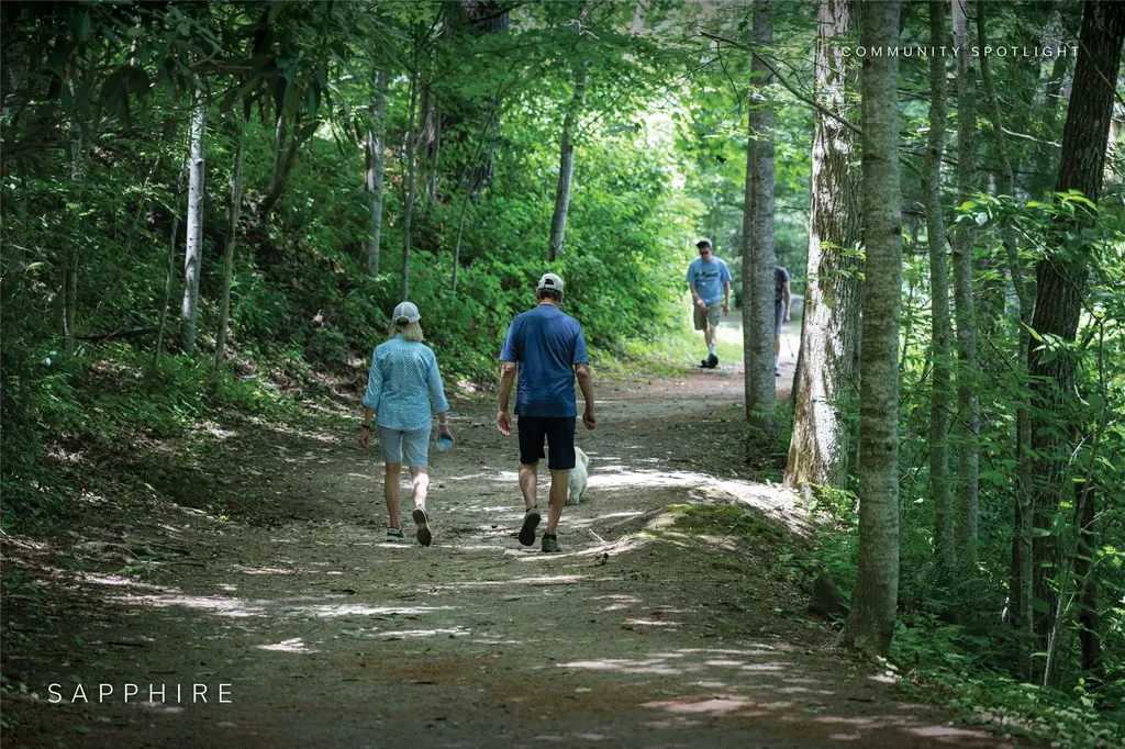 Lot 72 Black Oak Drive Sapphire NC 28774