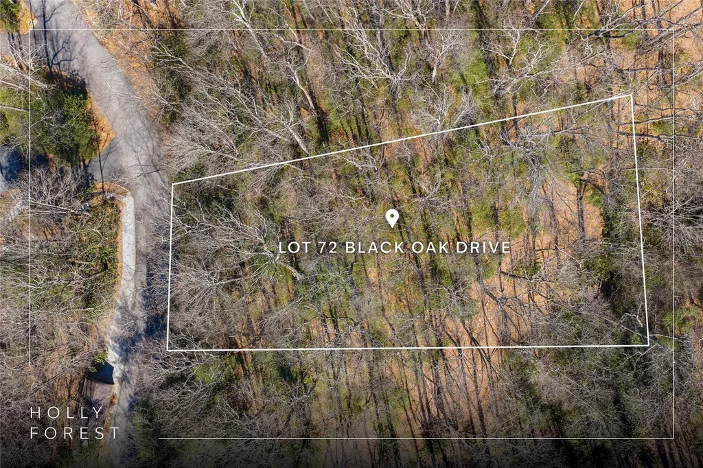 Lot 72 Black Oak Drive Sapphire NC 28774