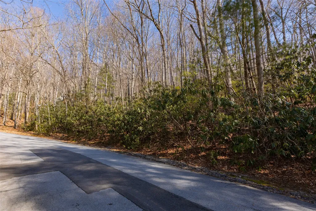 Lot 72 Black Oak Drive Sapphire NC 28774