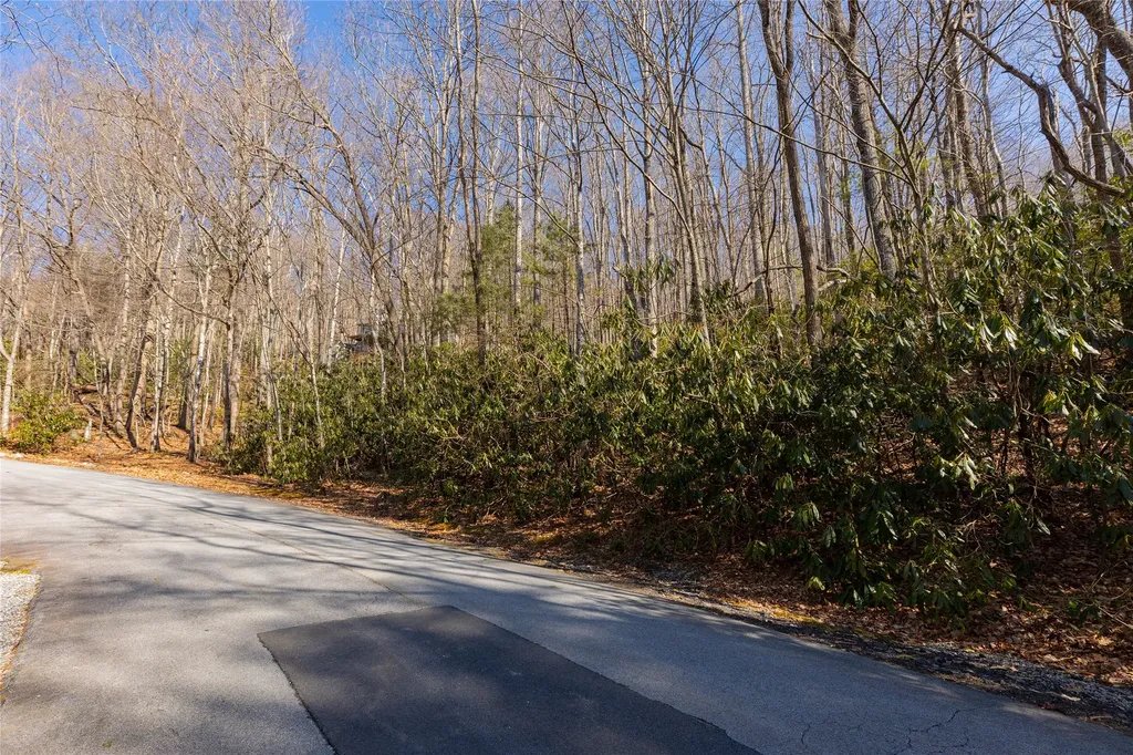 Lot 72 Black Oak Drive Sapphire NC 28774
