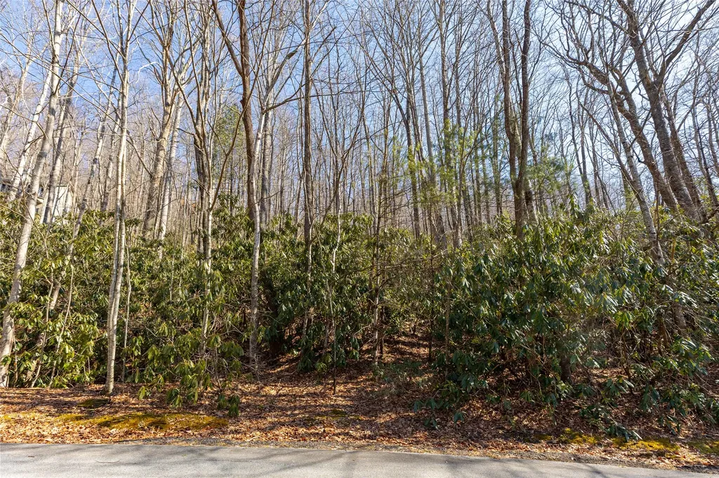 Lot 72 Black Oak Drive Sapphire NC 28774