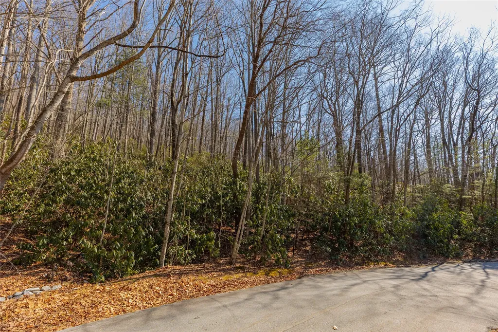 Lot 72 Black Oak Drive Sapphire NC 28774