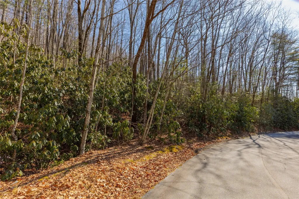 Lot 72 Black Oak Drive Sapphire NC 28774