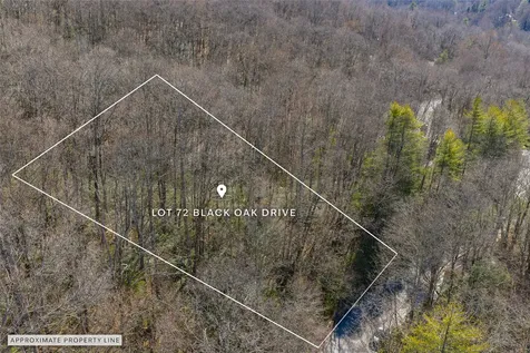 Lot 72 Black Oak Drive Sapphire NC 28774