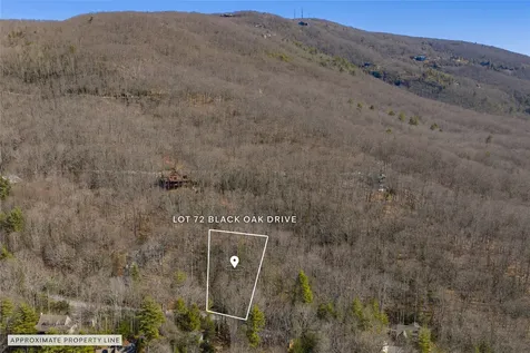 Lot 72 Black Oak Drive Sapphire NC 28774