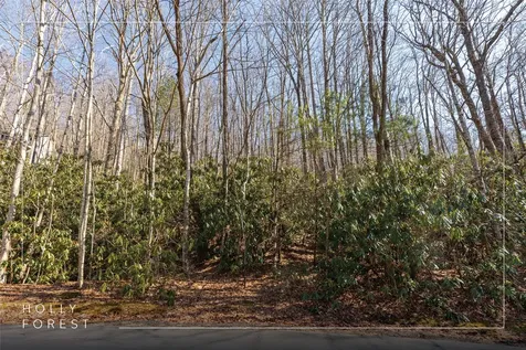Lot 72 Black Oak Drive Sapphire NC 28774